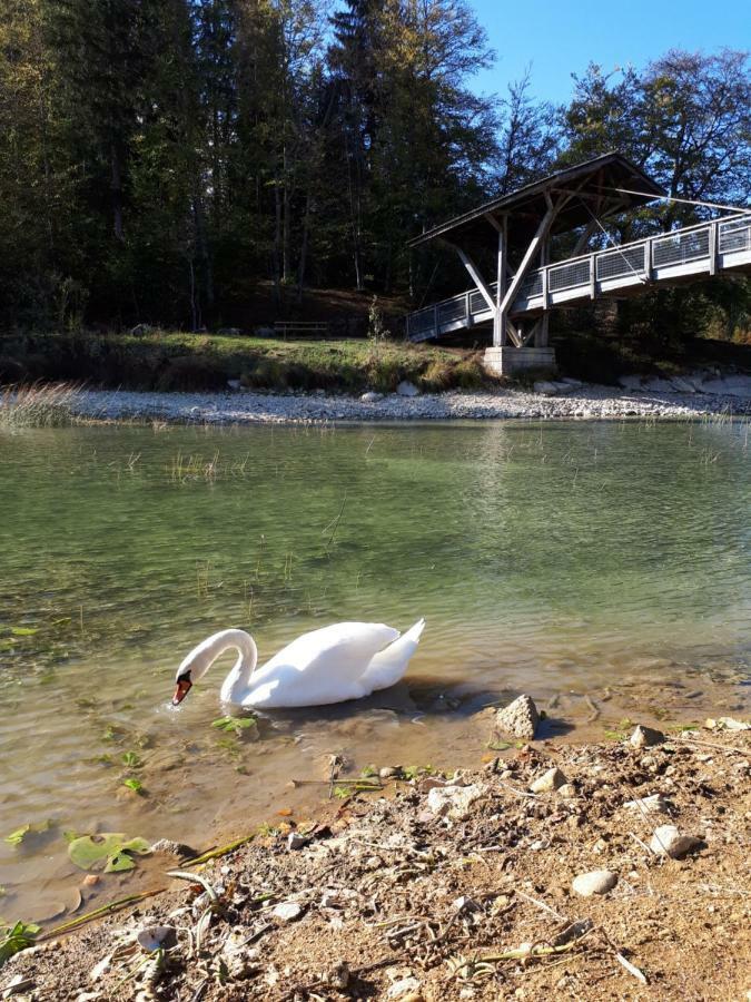 Le Charme Des 2 Lacs Malbuisson Zewnętrze zdjęcie